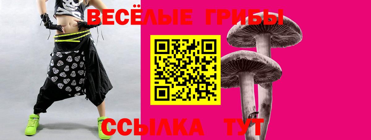 Геленджик  Галлюциногенные грибы мицелий  Галлюциногенные грибы прущие грибы  Вход с VPN 